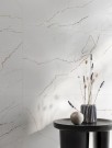 MARBLE 120 BIANCO SEGESTA RET thumbnail